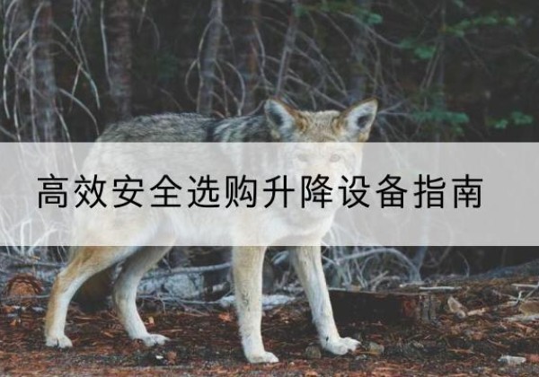 阿克苏升降货梯厂家推荐-*安全选购升降设备指南