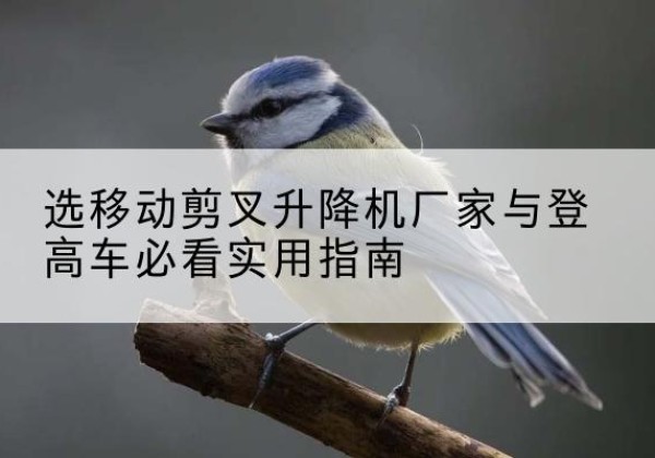 阿克苏电动升降机厂家-选移动剪叉升降机厂家与登高车必看实用指南